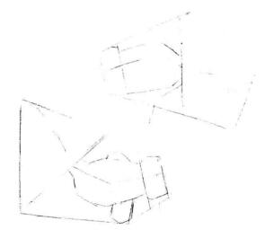 碟尾金魚素描畫線稿畫法步驟02