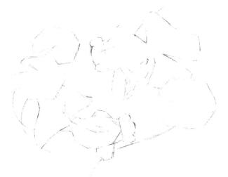 碟尾金魚素描畫線稿畫法步驟04