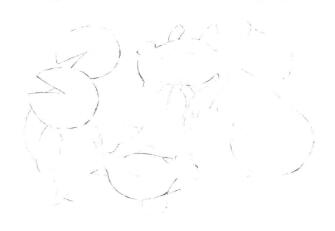 碟尾金魚素描畫線稿畫法步驟05