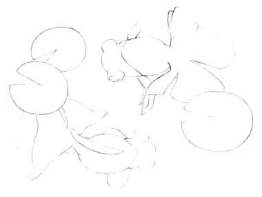 碟尾金魚素描畫線稿畫法步驟06