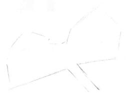 木棉花的素描畫線稿畫法步驟02
