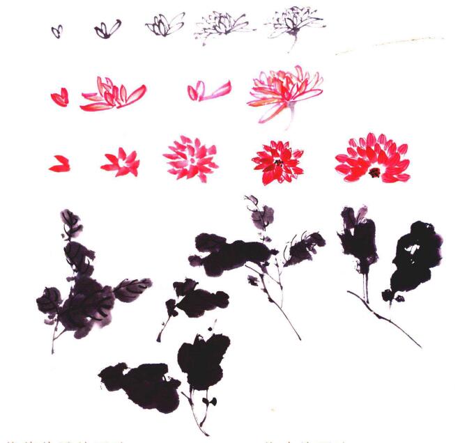 菊花花瓣和菊葉的國畫畫法