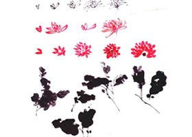 菊花花瓣和菊葉的國(guó)畫畫法