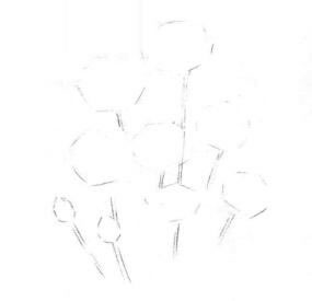 矢車菊的素描畫(huà)線稿畫(huà)法步驟01