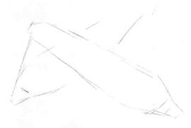 玉米的素描畫法步驟02，畫線稿