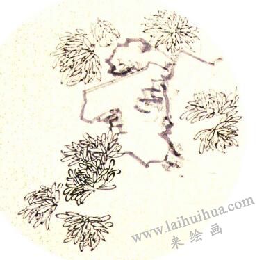 團(tuán)扇菊花的畫法步驟02，范例一