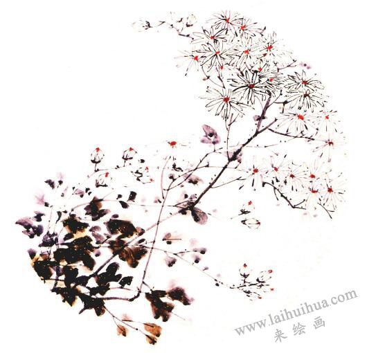團(tuán)扇菊花的畫法步驟03，范例四