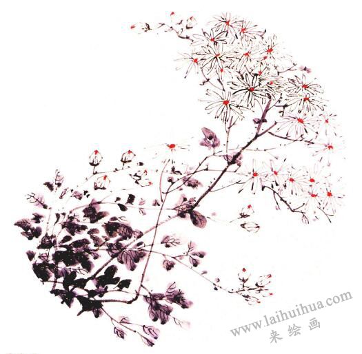 團(tuán)扇菊花的畫法步驟04，范例四