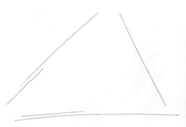 山核桃的素描畫法步驟01，畫線稿