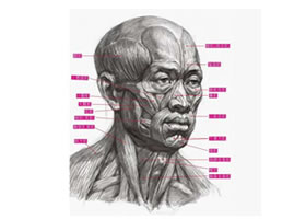 素描人像透視畫法