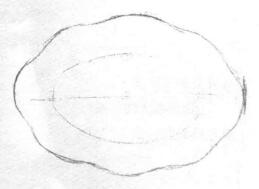 盤子的素描畫法步驟02