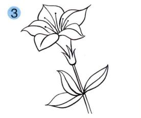 杜鵑花兒童畫(huà)畫(huà)法步驟03
