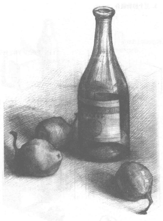 瓶子和梨子素描畫法
