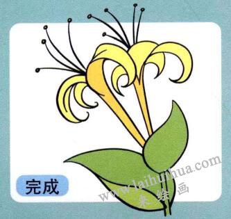 金銀花兒童畫(huà)