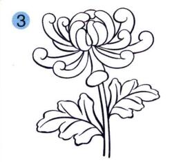 菊花的兒童畫(huà)畫(huà)法步驟03