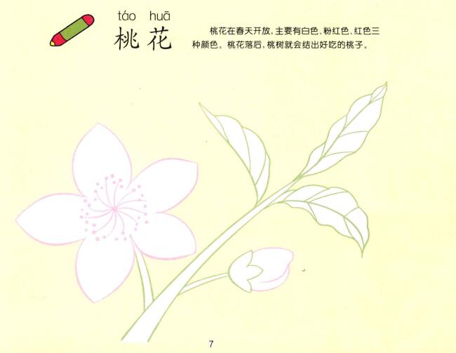 桃花兒童畫
