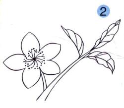桃花兒童畫畫法步驟02