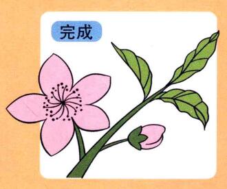 桃花兒童畫
