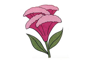 雞冠花兒童畫(huà)