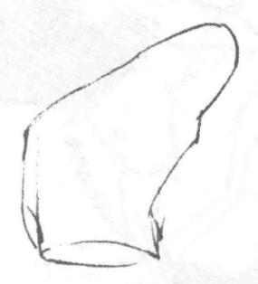 貓的素描畫(huà)法步驟01