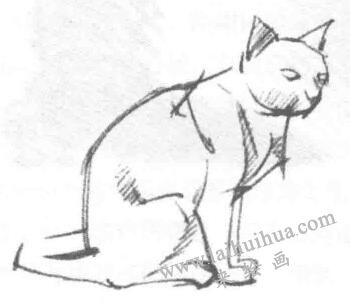 貓的素描畫(huà)法步驟03
