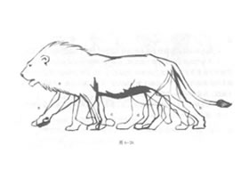 如何素描行走獅子？