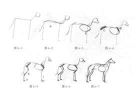動物素描的繪制步驟
