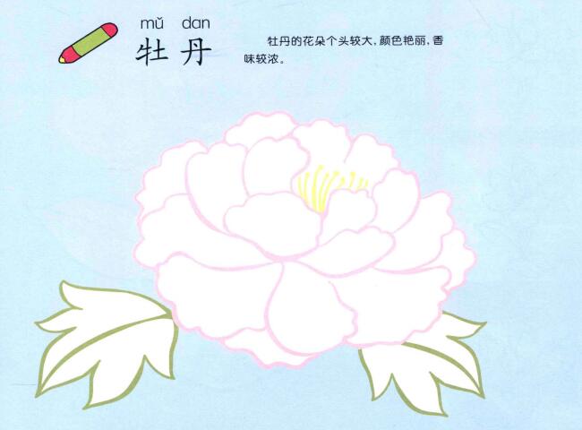牡丹花兒童畫