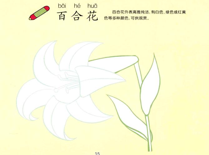 百合花兒童畫