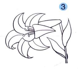 百合花兒童畫畫法步驟03