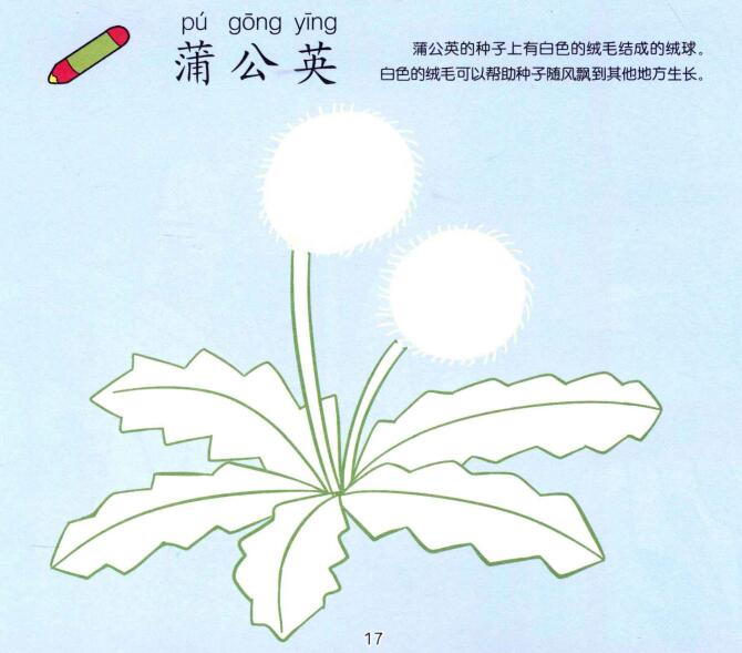 蒲公英兒童畫(huà)