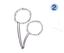 蒲公英兒童畫(huà)畫(huà)法步驟02