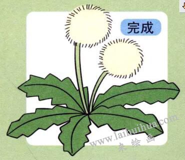 蒲公英兒童畫(huà)