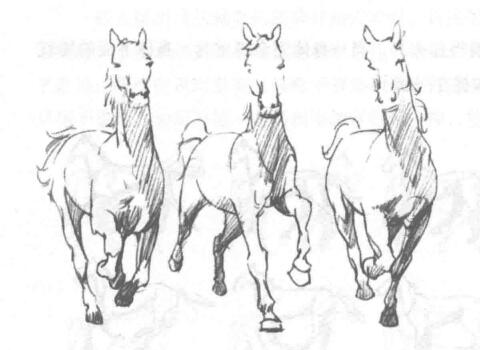 如何素描運(yùn)動中的馬？