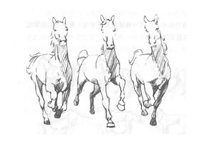 如何素描運(yùn)動(dòng)中的馬？
