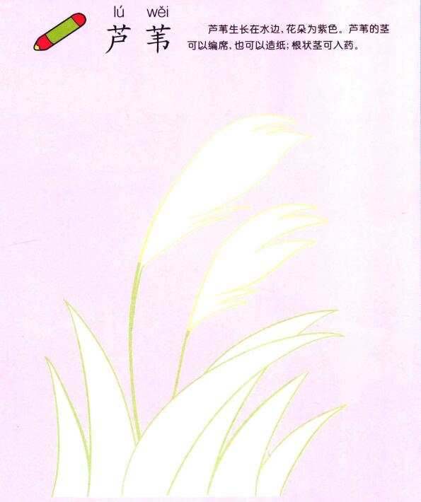 蘆葦兒童畫(huà)