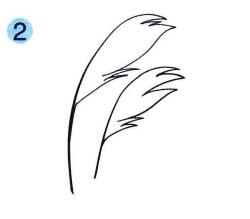 蘆葦兒童畫(huà)畫(huà)法步驟02