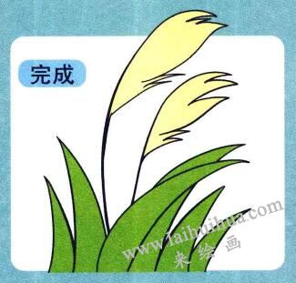 蘆葦兒童畫(huà)