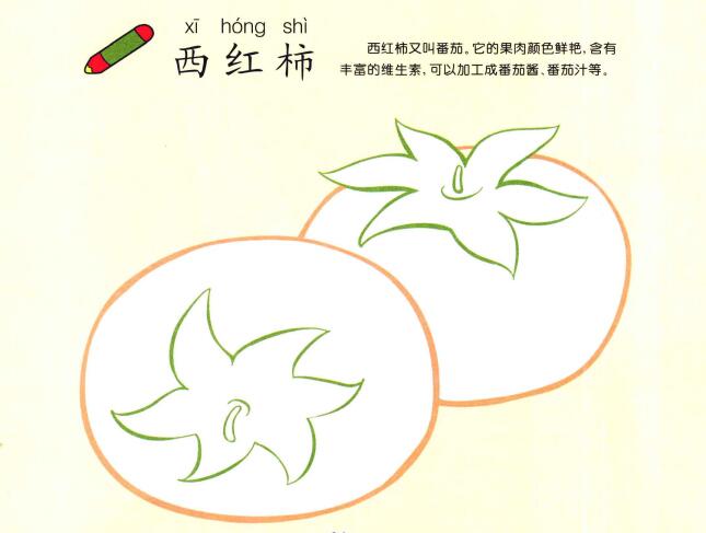 西紅柿兒童畫(huà)