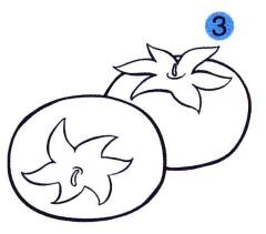 西紅柿兒童畫(huà)畫(huà)法步驟03