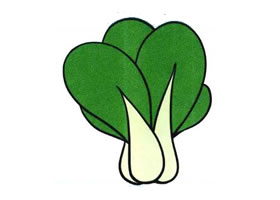 小白菜兒童畫(huà)