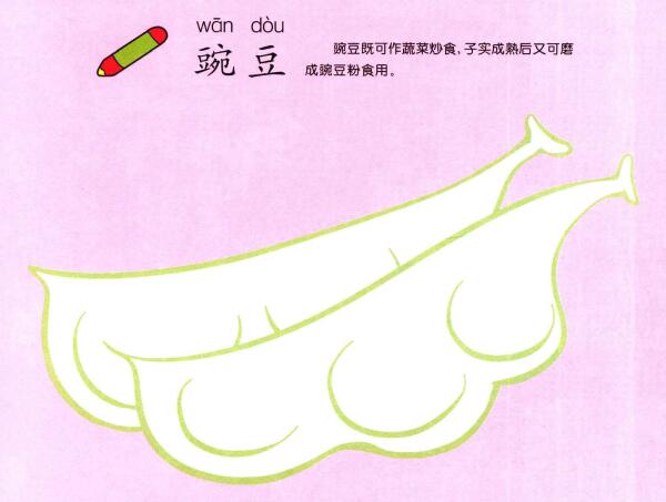 豌豆兒童畫