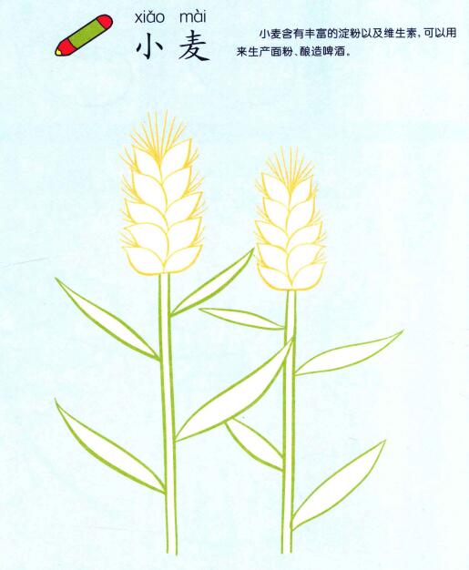小麥兒童畫(huà)