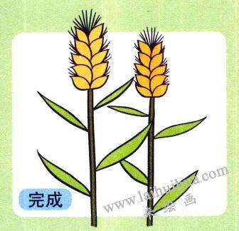 小麥兒童畫(huà)