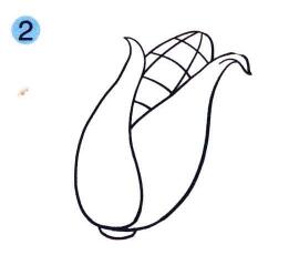 玉米兒童畫(huà)畫(huà)法步驟02