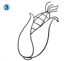 玉米兒童畫(huà)畫(huà)法步驟03
