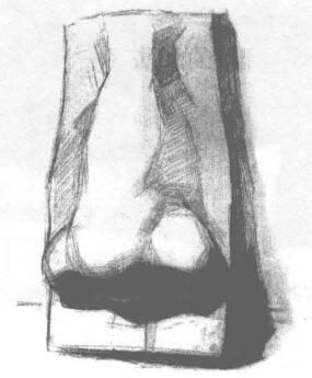 石膏鼻子素描畫(huà)法步驟03