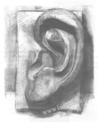 石膏耳朵素描畫(huà)