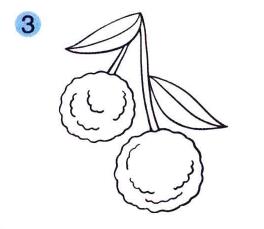 荔枝兒童畫(huà)畫(huà)法步驟03