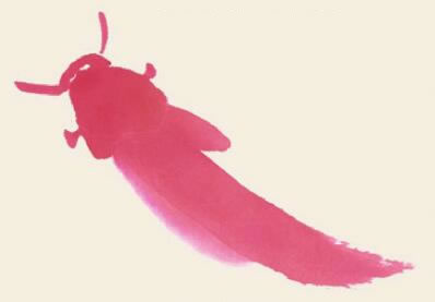 鯉魚兒童國(guó)畫畫法步驟03
